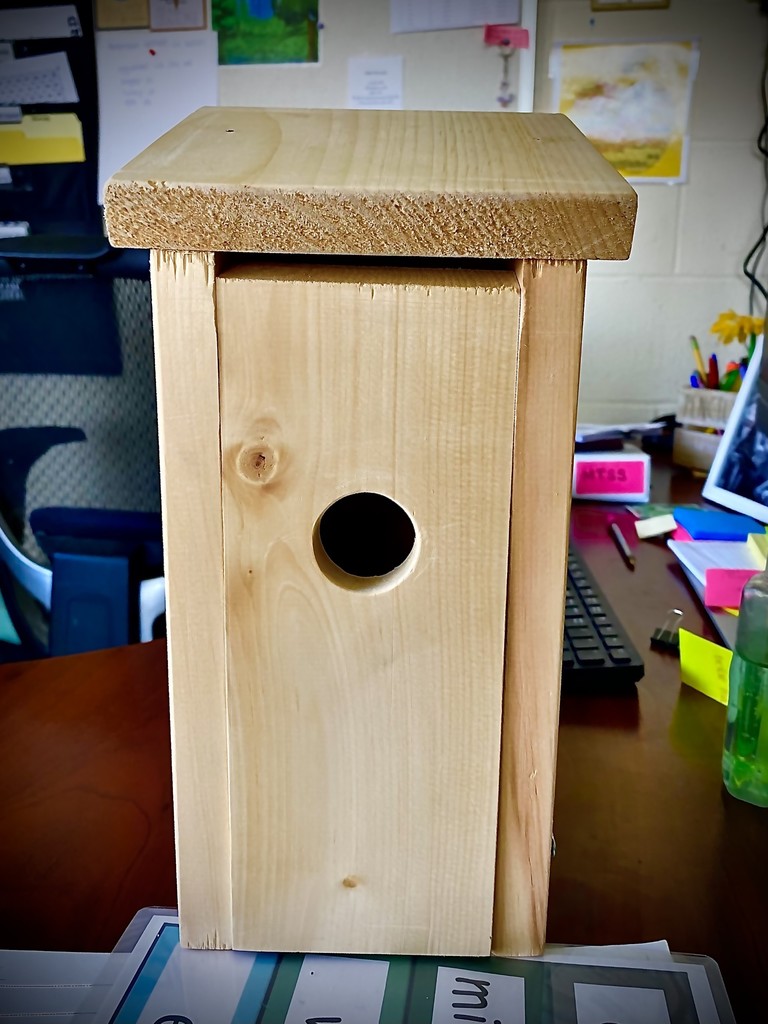 Wooden birdhouse completed