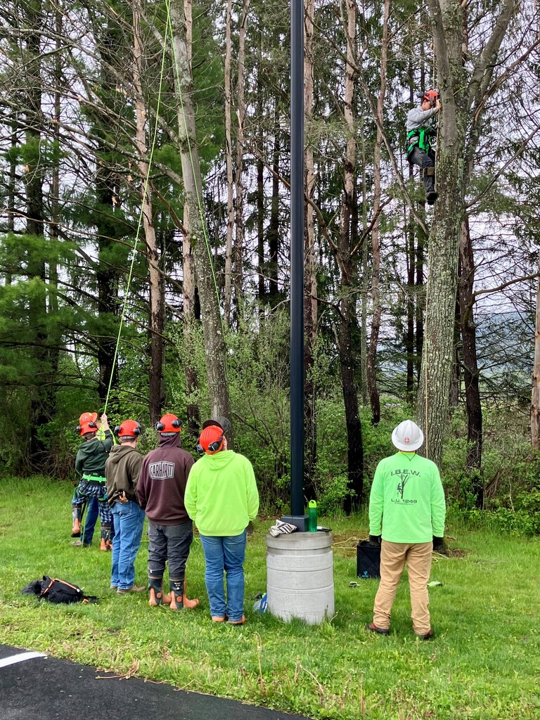 Six people standing outside with hardhats and earmuffs near trees with ropes attached to them.