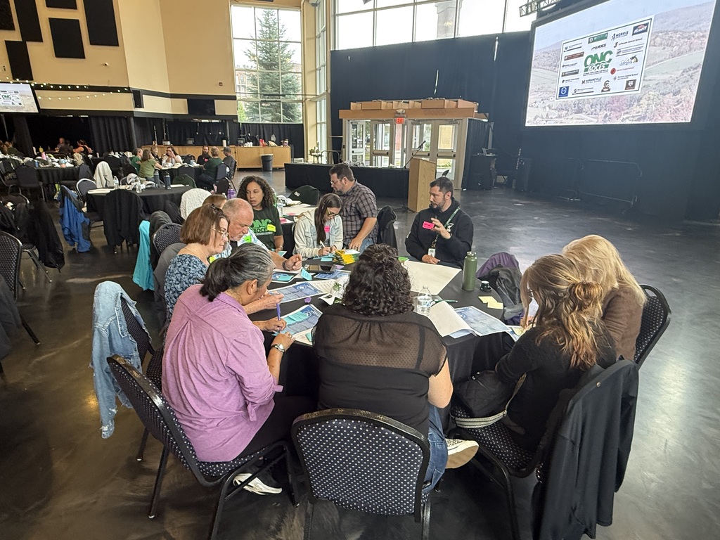 Groups of people sitting at tables writing on papers and talking.