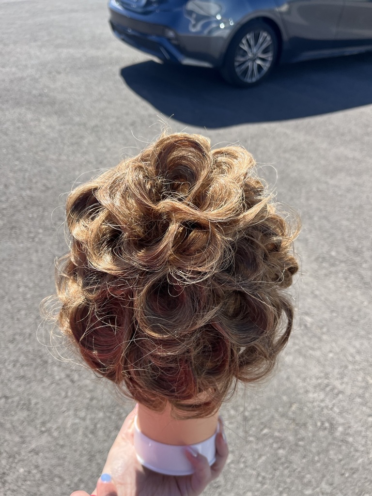 Mannequin head with hair done by student