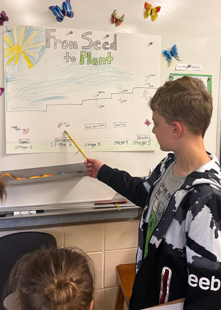 Explaining from seed to plants