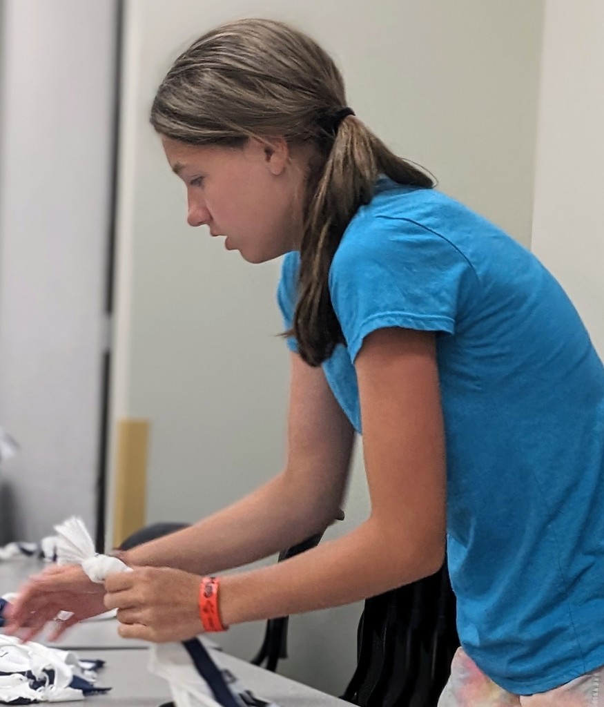 LPP Summer Program