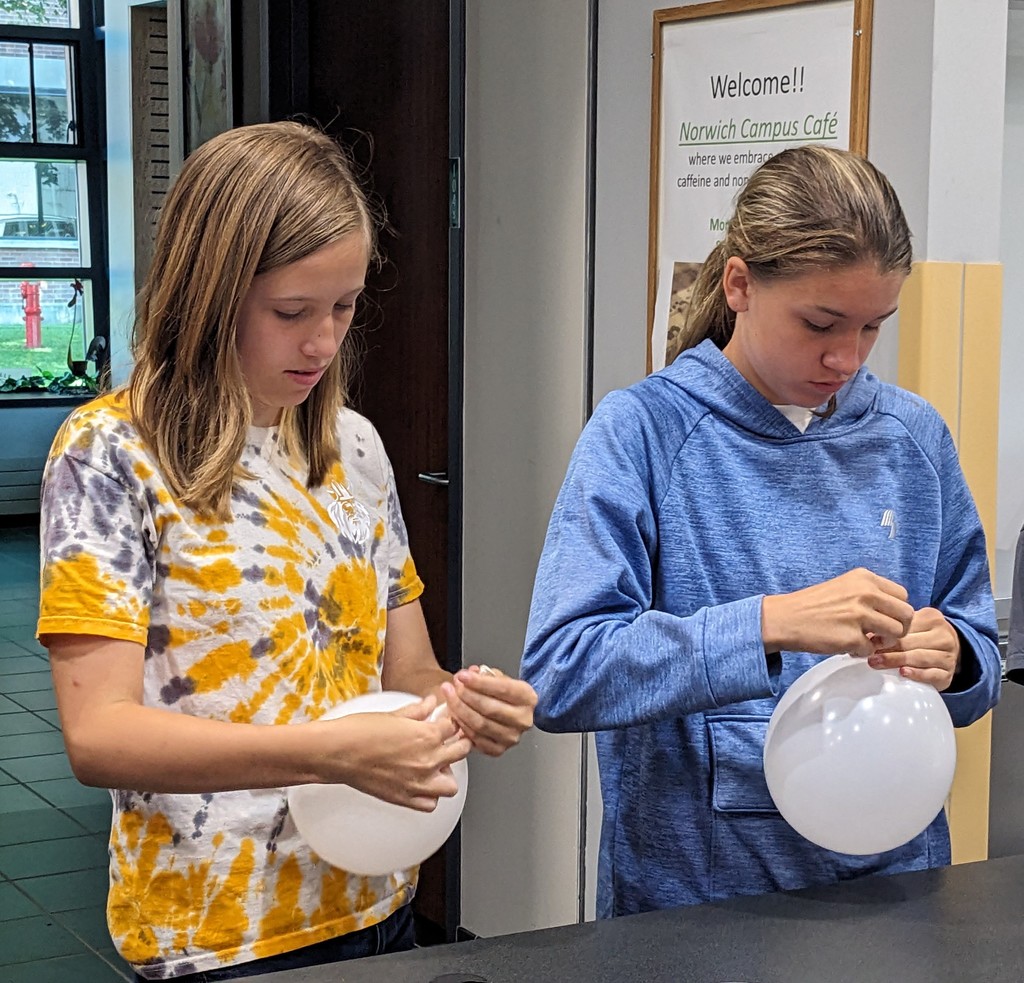 LPP Summer Program