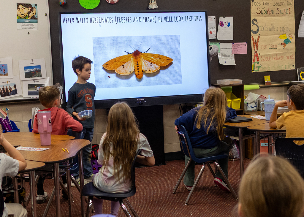 Hudson presents to the class about Willy the Wooly Bear Caterpillar