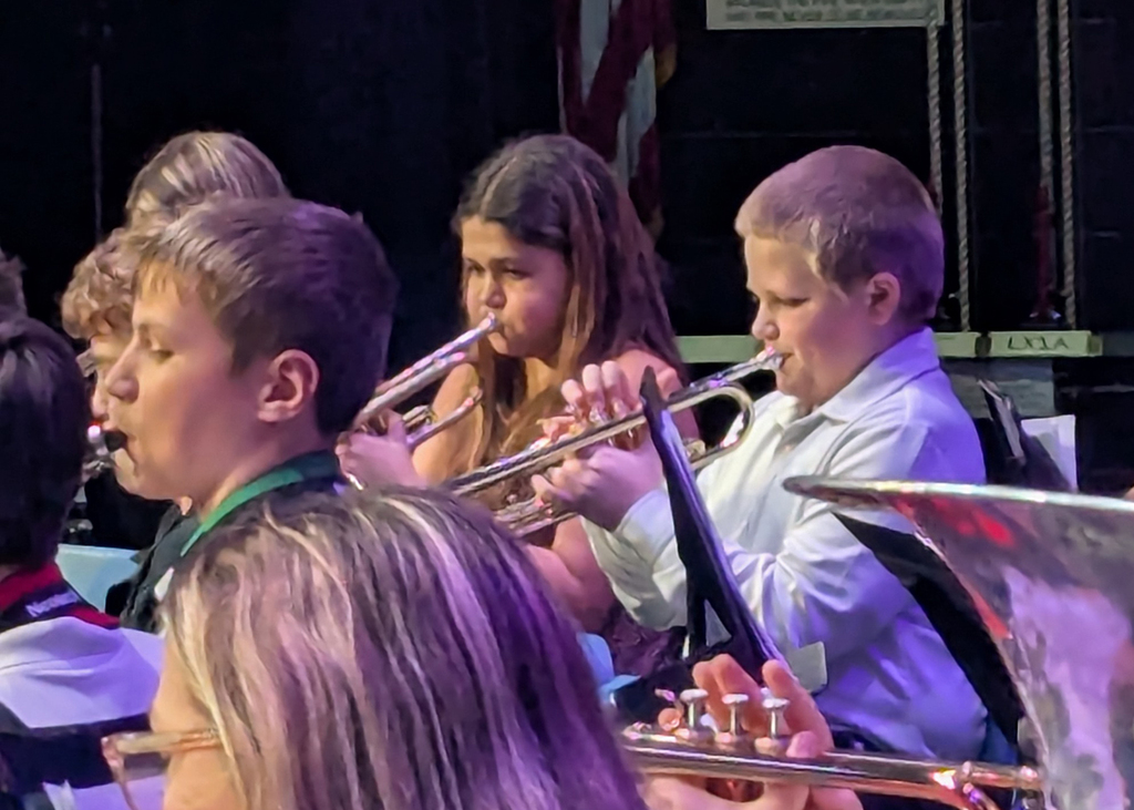 Students perform in All County Band