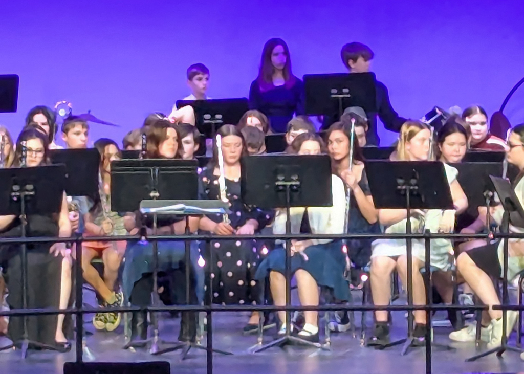 Students perform in All County Band