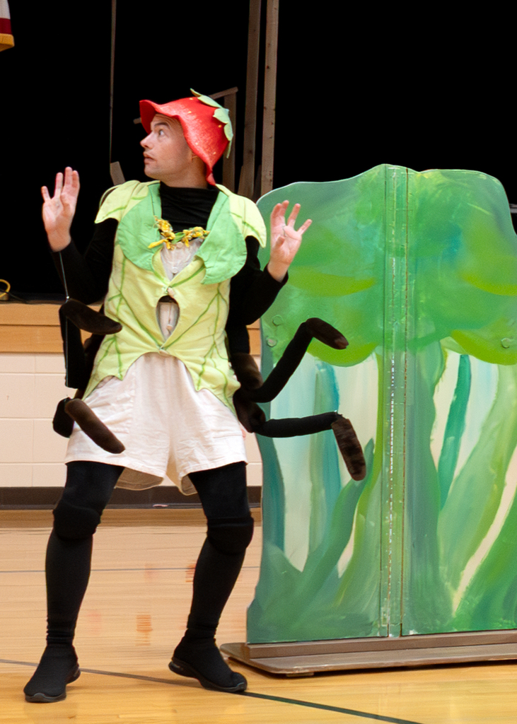 A spider is surprised during the play