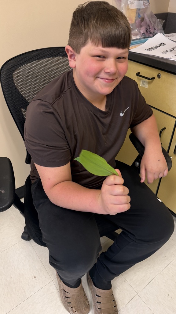 Student seated in chair holding fresh ramp leaf.