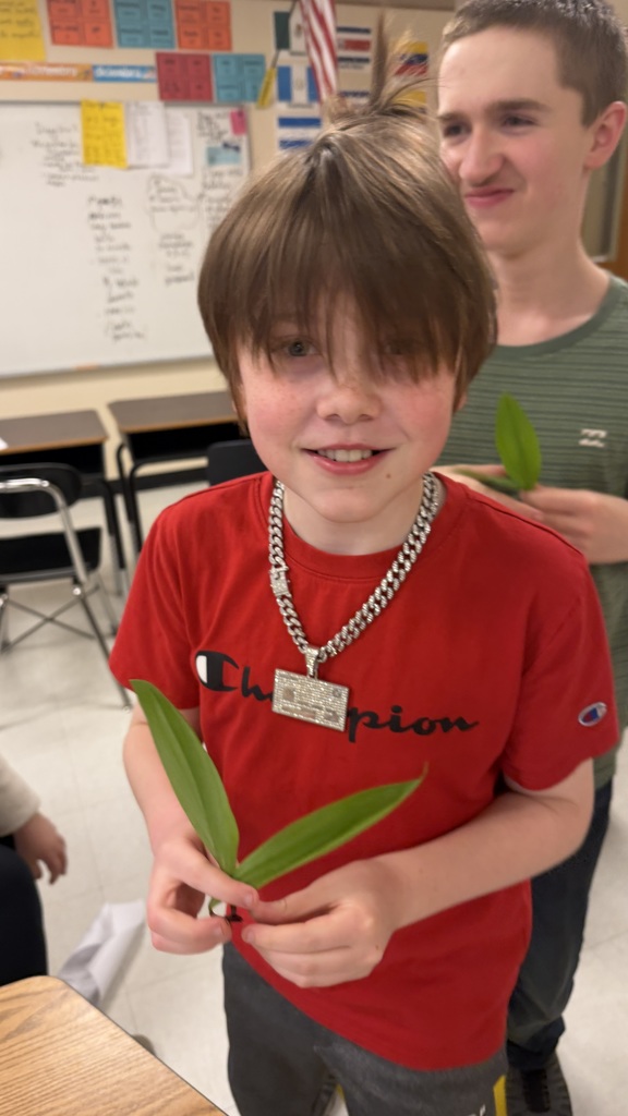 Student in red shirt holds ramp leaves in classroom.