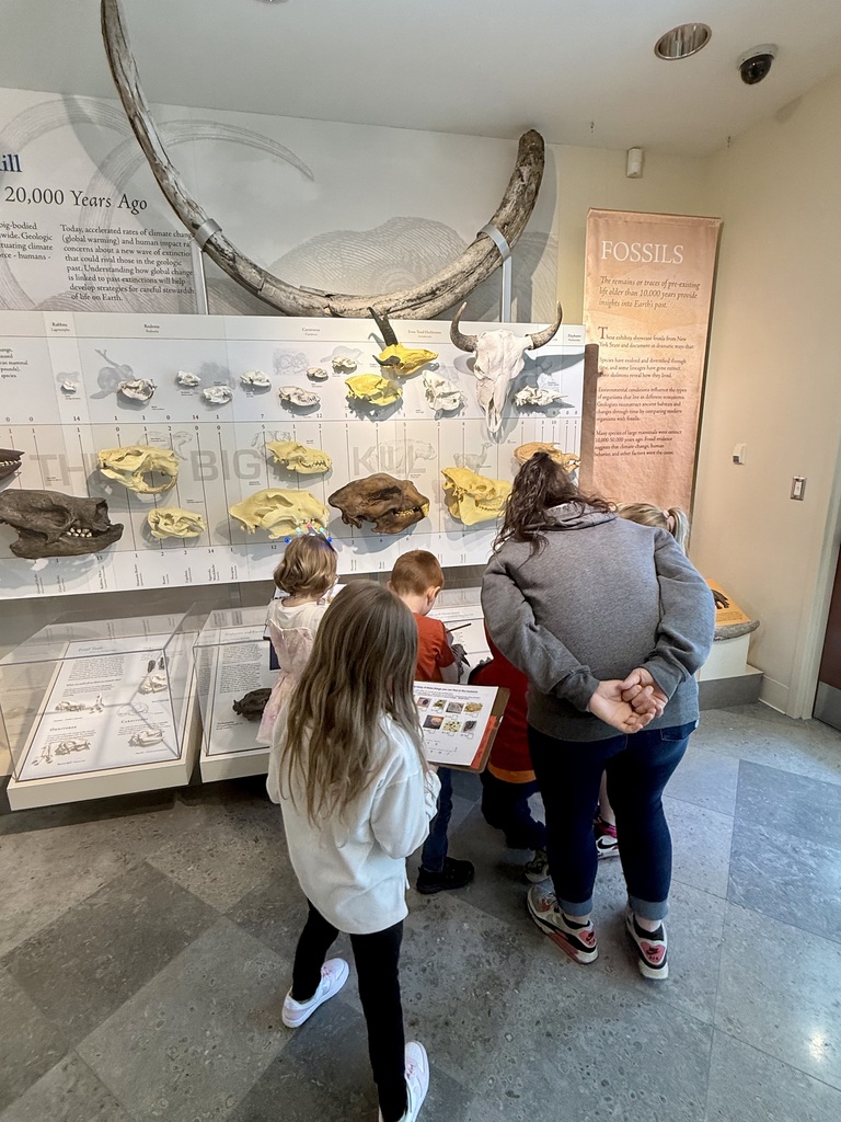 Otselic Valley first grade students explore exhibits, participate in hands-on activities, and learn during a field trip to the Colgate Science Center, planetarium, and geology museum.