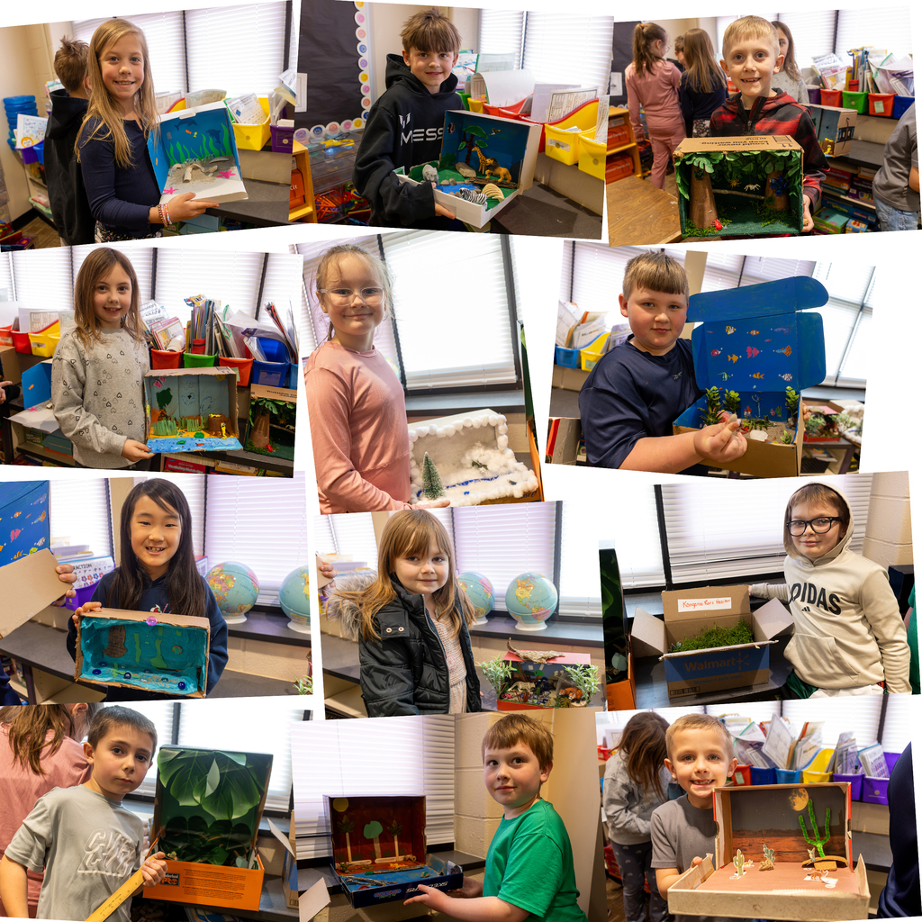 Collage of 2nd Grade Dioramas