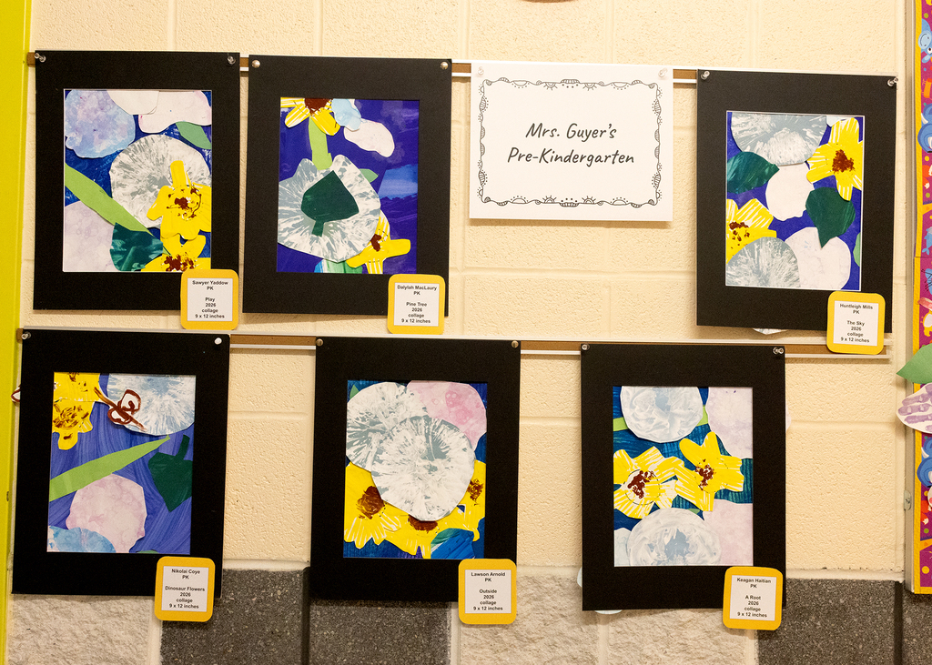 art show entries