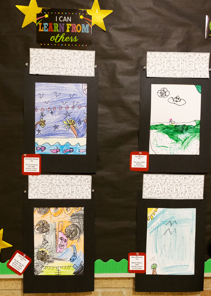 art show entries