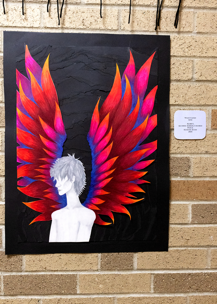 art show entries
