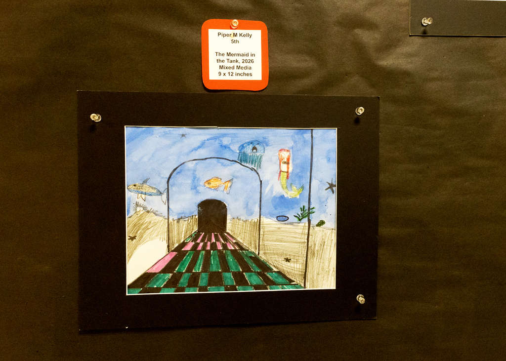art show entries