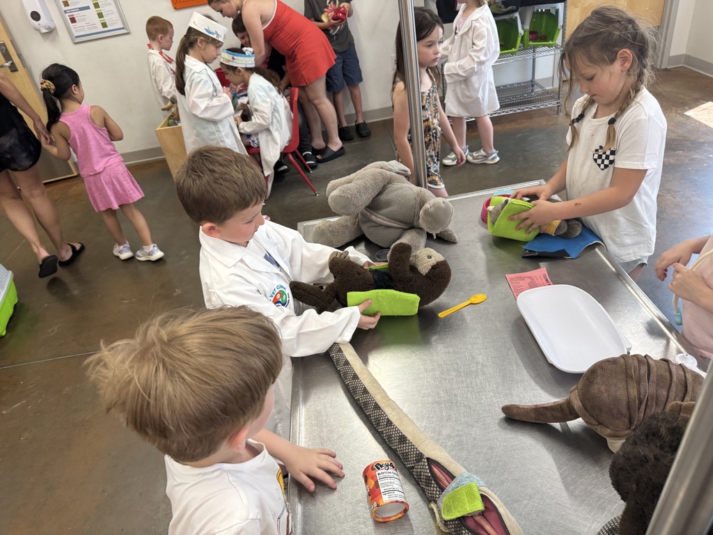 Kindergarten enjoys their zoo trip