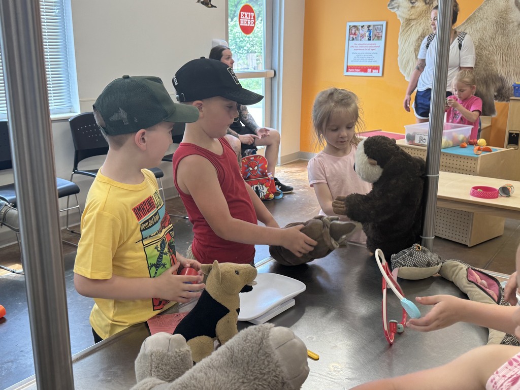 Kindergarten enjoys their zoo trip