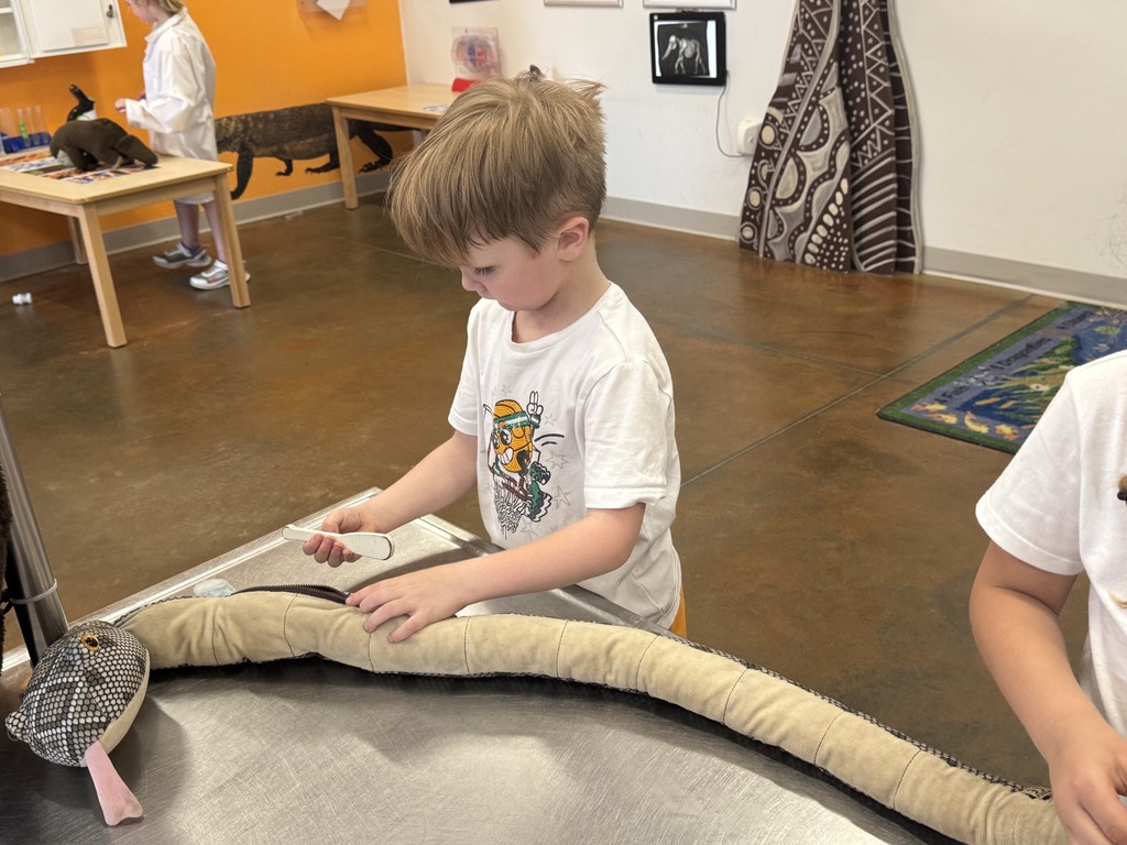 Kindergarten enjoys their zoo trip
