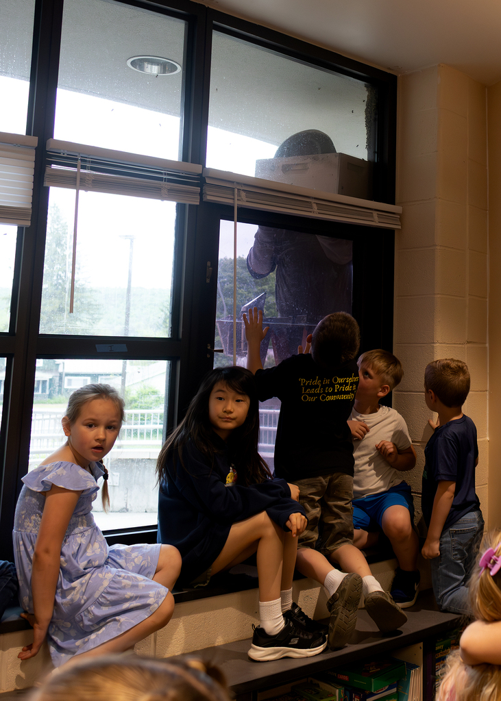 Photos of a beekeeper relocating a swarm of honey bees outside Otselic Valley while students observed from nearby classrooms.