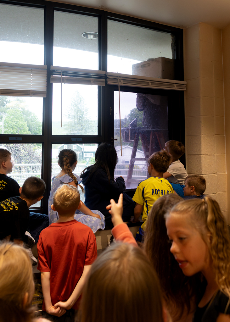Photos of a beekeeper relocating a swarm of honey bees outside Otselic Valley while students observed from nearby classrooms.