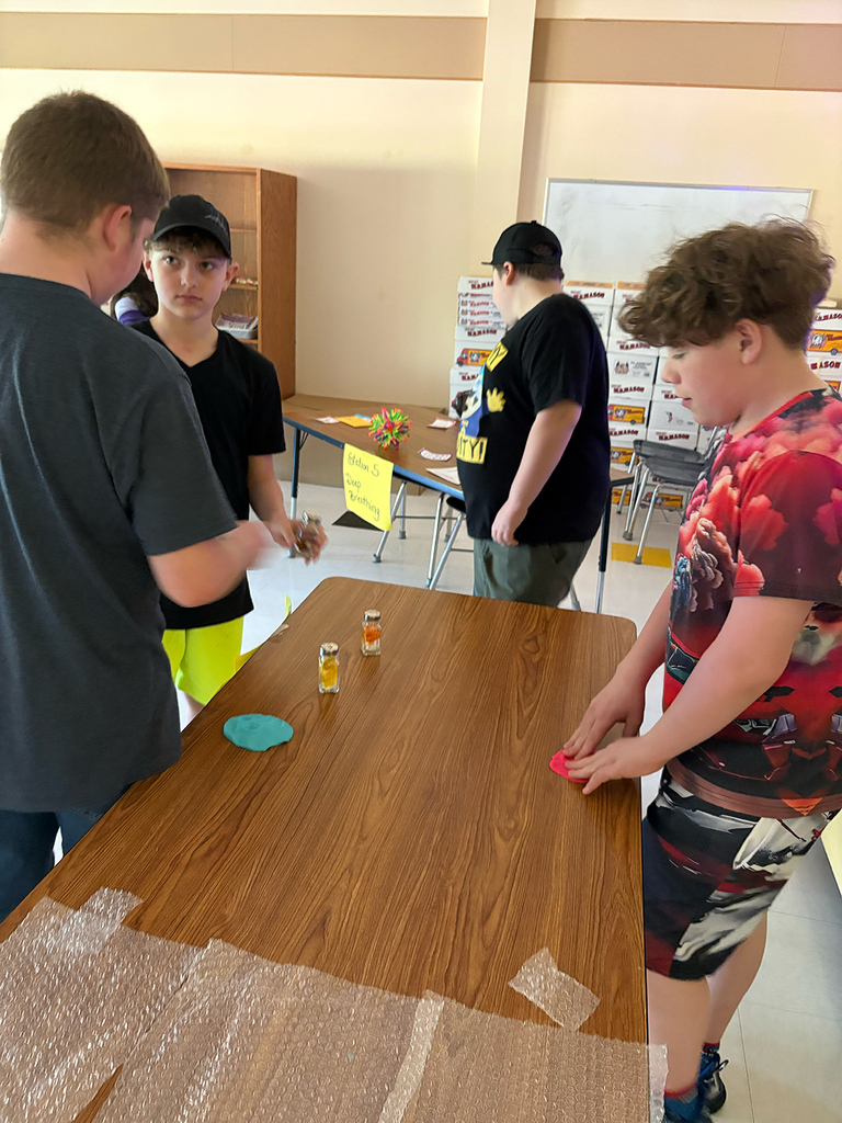Students participate in interactive activities during the Coping Skills Fair at Otselic Valley, exploring coping strategies such as mindfulness, breathing exercises, sensory tools, movement, and fidgets.