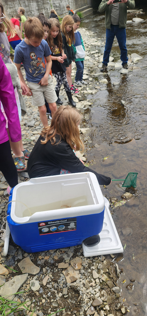 Students from Mr. Gross' class gather near a local stream as they participate in the release of brook trout raised through the Trout in the Classroom program.