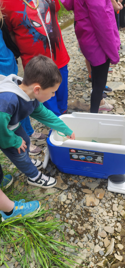 Students from Mr. Gross' class gather near a local stream as they participate in the release of brook trout raised through the Trout in the Classroom program.