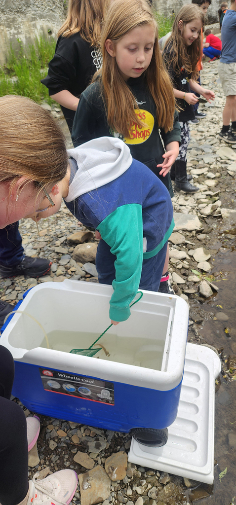 Students from Mr. Gross' class gather near a local stream as they participate in the release of brook trout raised through the Trout in the Classroom program.