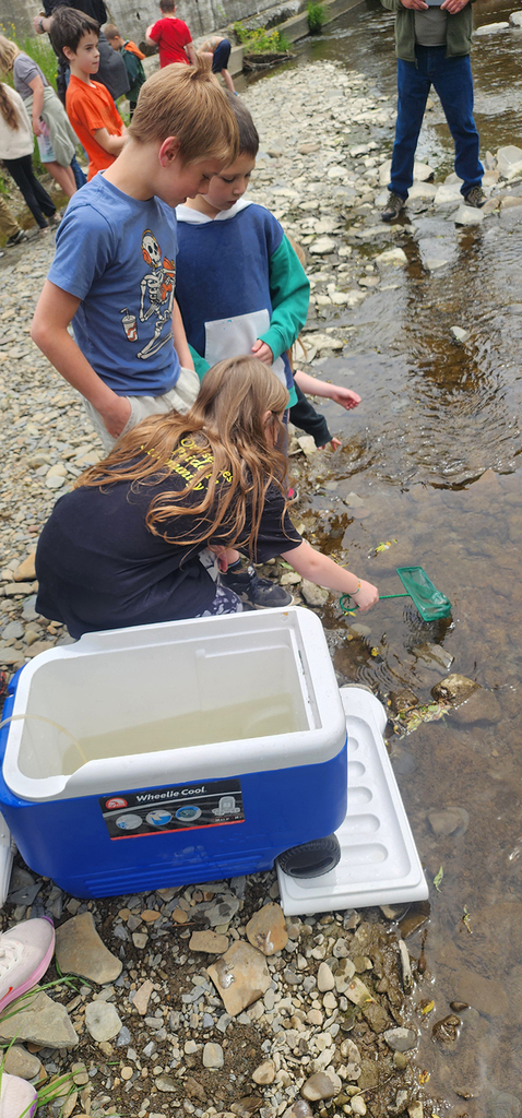 Students from Mr. Gross' class gather near a local stream as they participate in the release of brook trout raised through the Trout in the Classroom program.
