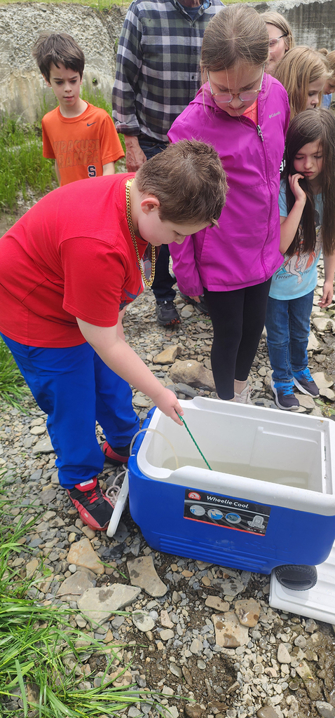 Students from Mr. Gross' class gather near a local stream as they participate in the release of brook trout raised through the Trout in the Classroom program.