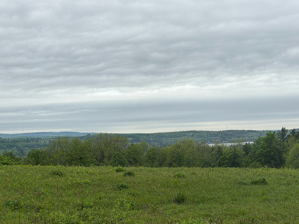 Students explore outdoor art installations and hiking trails during a field trip to Stone Quarry Art Park in Cazenovia. Photos show students enjoying nature, viewing artwork, and spending time outdoors with classmates.