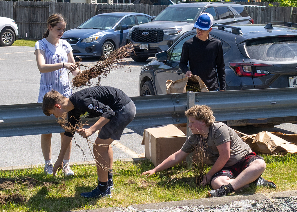Middle school students plant young willow trees along the bank of Ashbell Brook near Otselic Valley school property as part of an erosion prevention and environmental stewardship project.