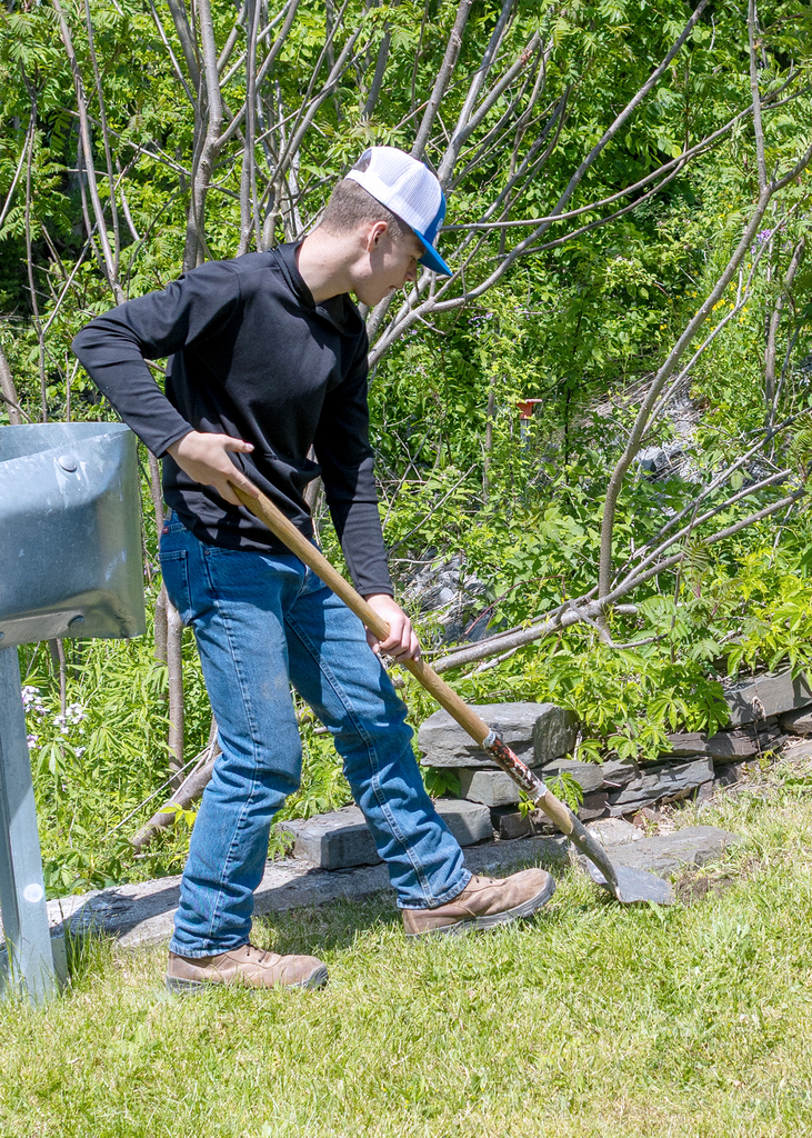 Middle school students plant young willow trees along the bank of Ashbell Brook near Otselic Valley school property as part of an erosion prevention and environmental stewardship project.