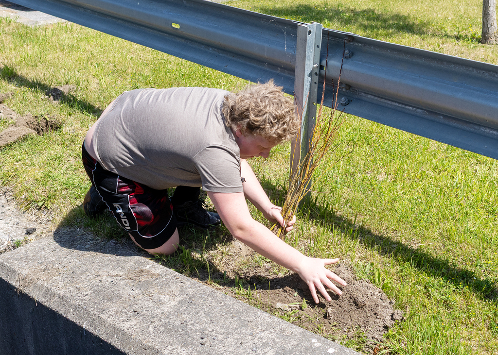 Middle school students plant young willow trees along the bank of Ashbell Brook near Otselic Valley school property as part of an erosion prevention and environmental stewardship project.