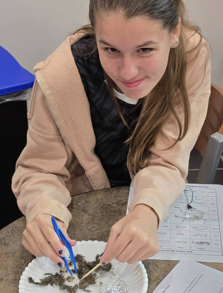 Student holding blue tweezers and a tooth pick