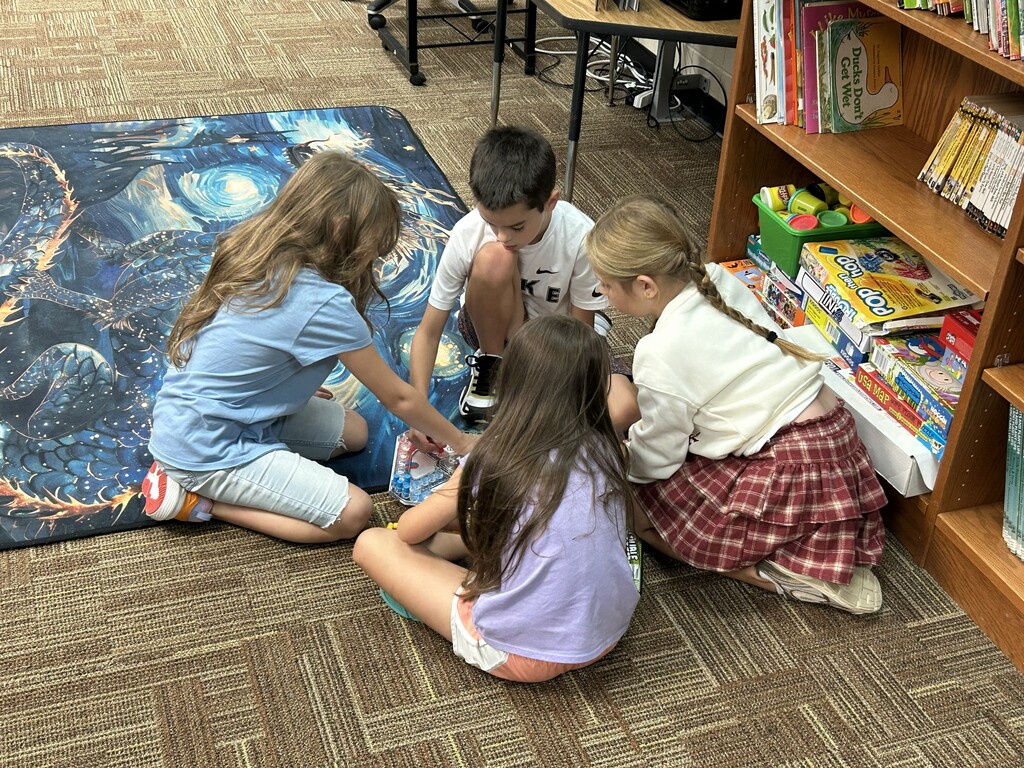 4th Grade Activity