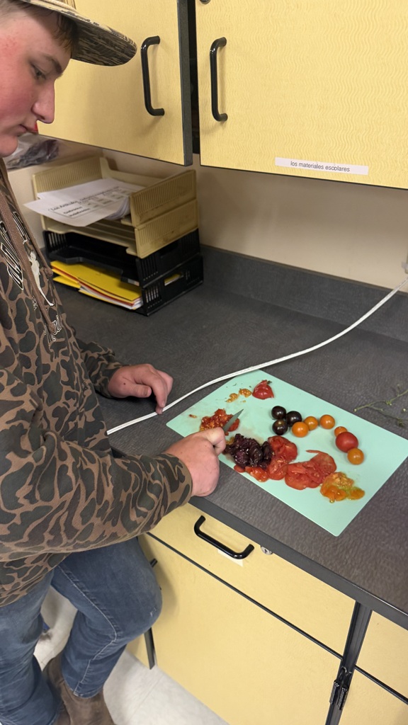 Student standing with a knife and cutting tomatoes