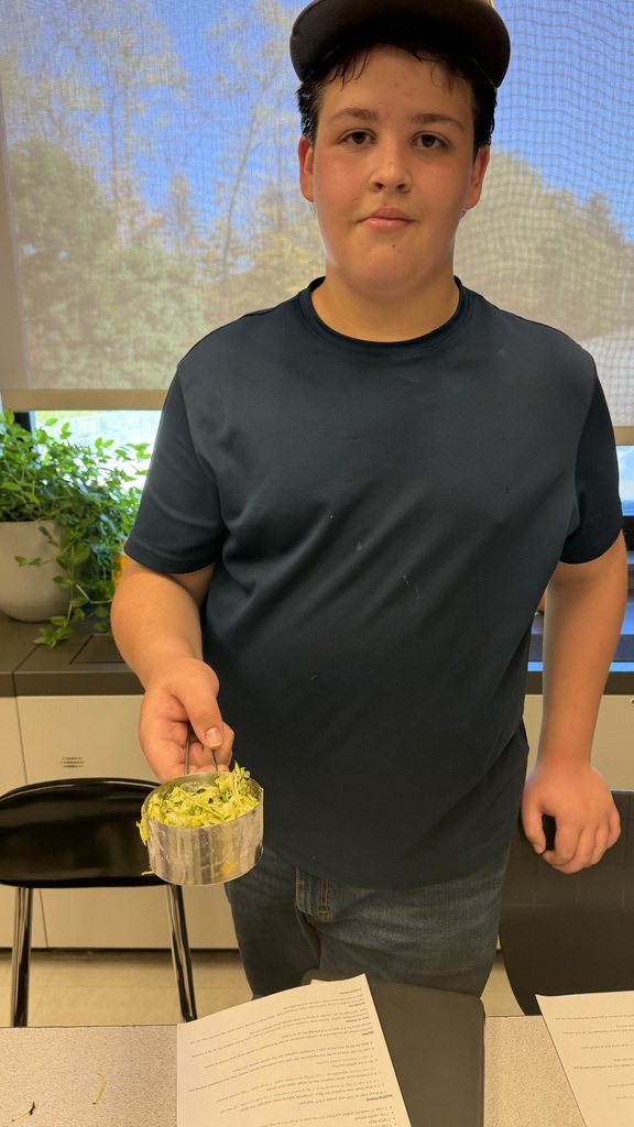 Zucchini Bread 5