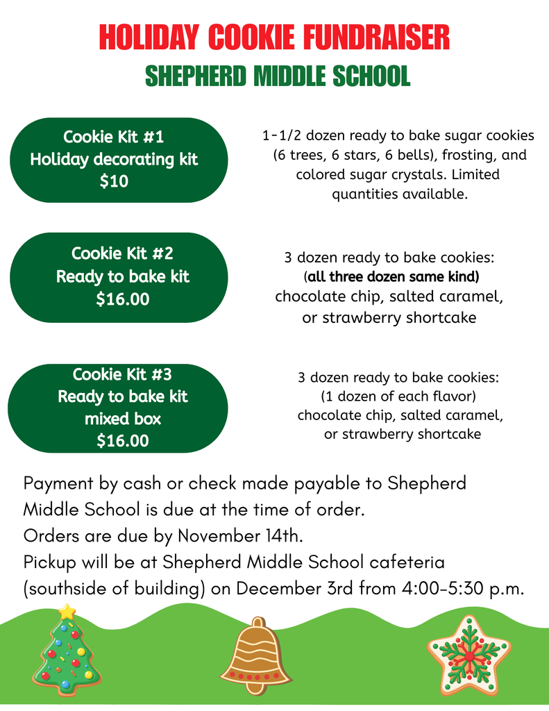 Green and White Illustrated Christmas Fundraiser Instagram Post (US Letter) (18) (1)