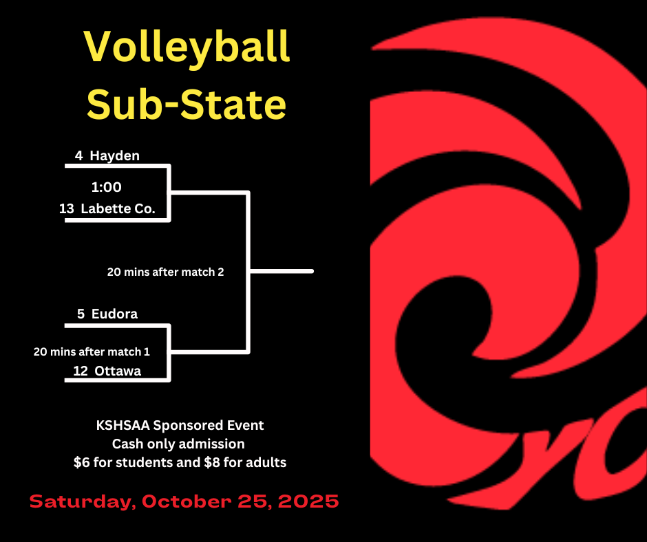VB Sub State