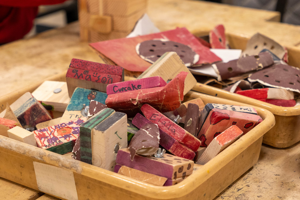 Ottawa Middle School Woods Class