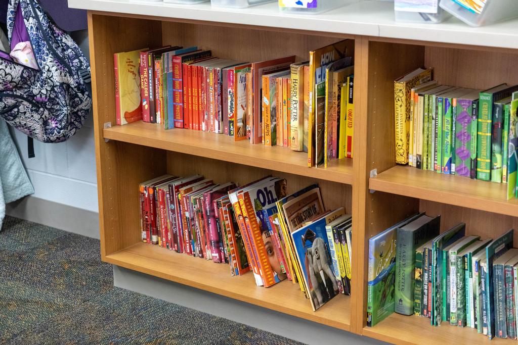 Color organized book shelf.