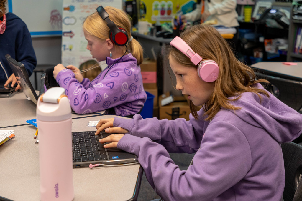 Two girls on their computers.
