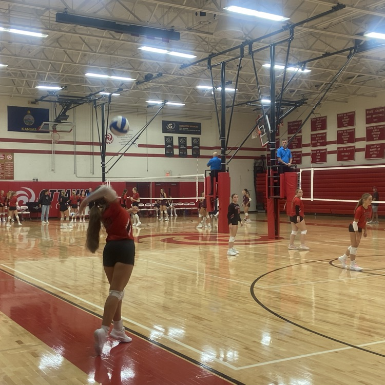 🏐