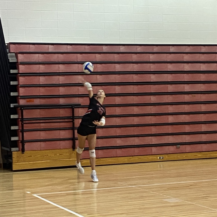 🏐