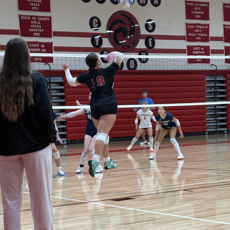 volleyball