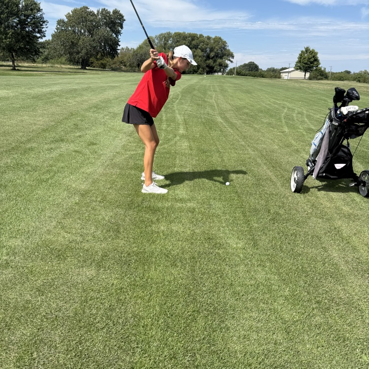 ⛳️