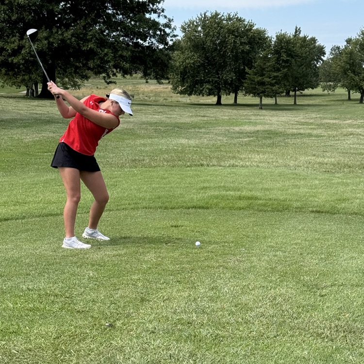 ⛳️