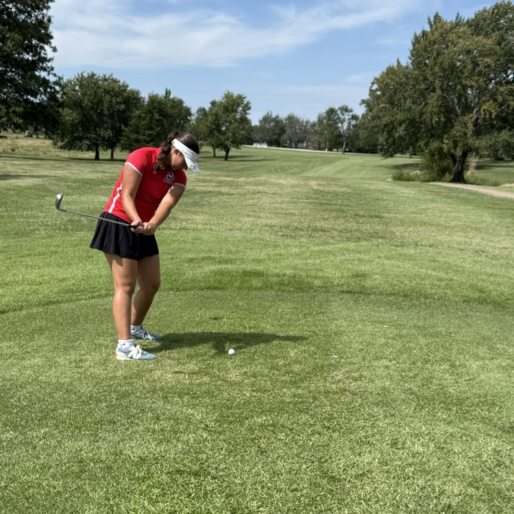 ⛳️