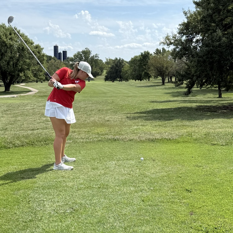 ⛳️